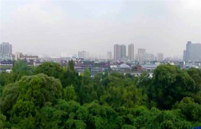 里番动漫bam 我可以为您提供一些建议