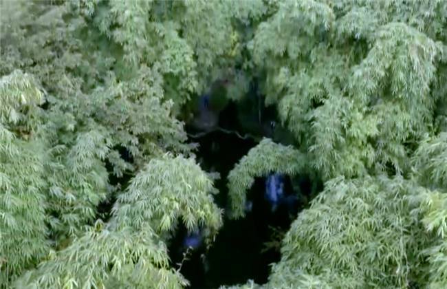 里番外卖上门服务