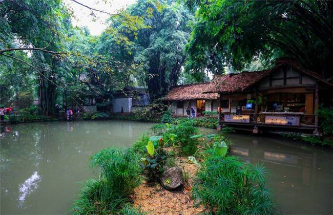 the woman in pink 视频