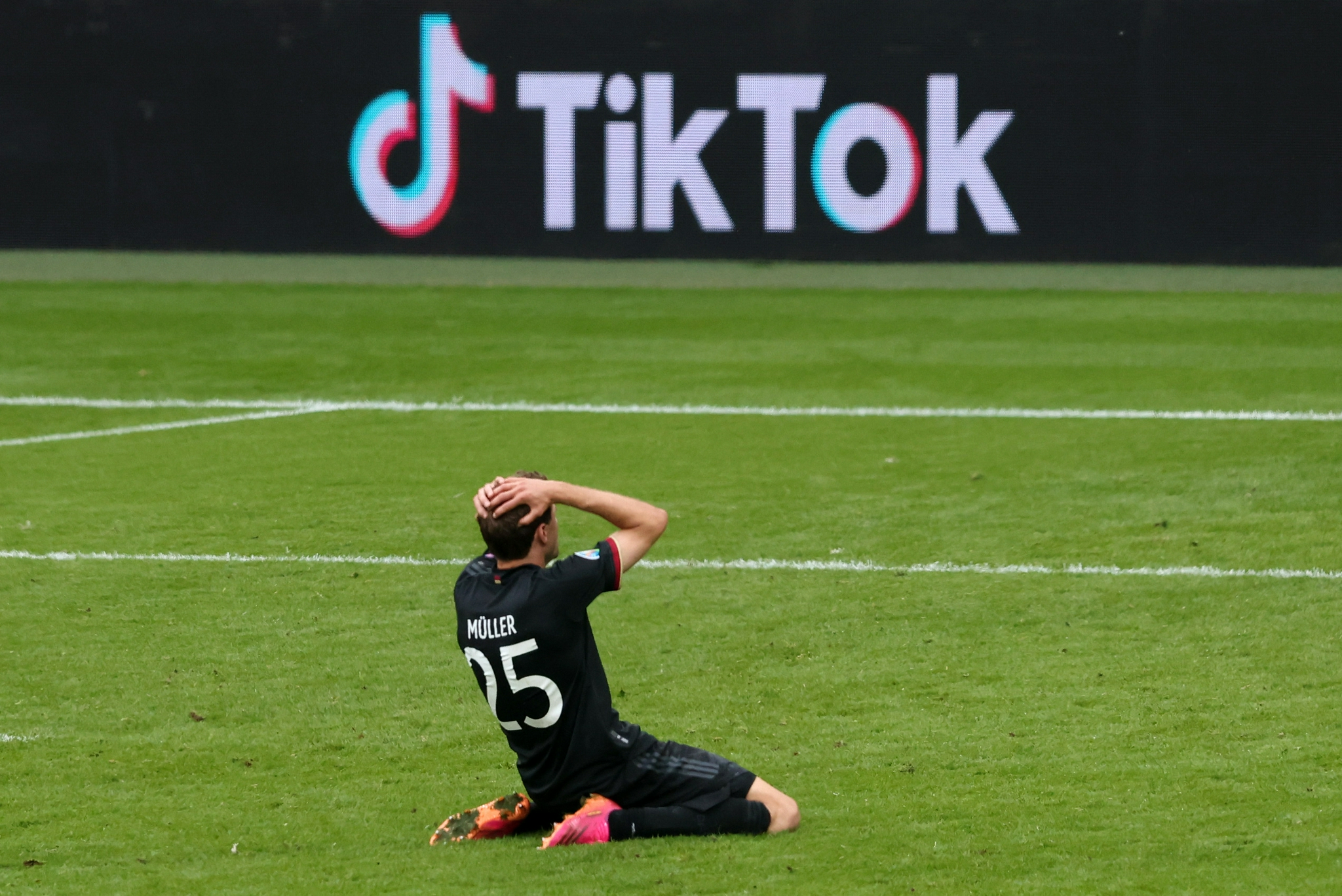 plumpy视频 如果您想寻找这类内容