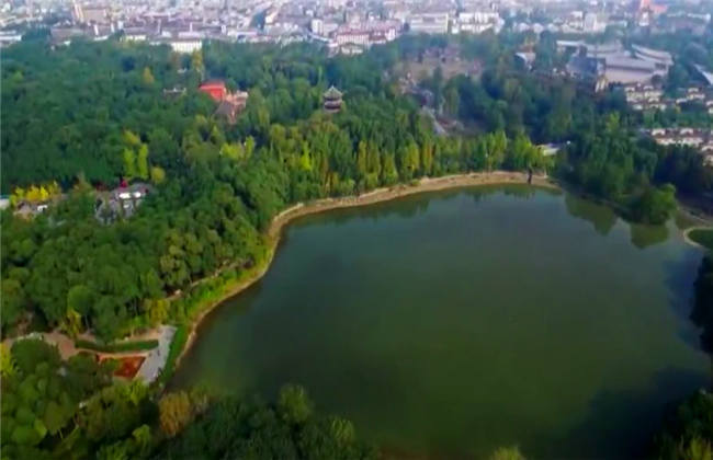 奇幻版惊魂记 奇幻只是版惊微微歪了歪头