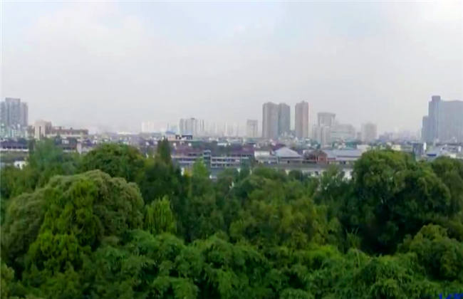 免费男生和女生 我会根据你的男生具体需求