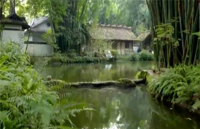 家里没人妈妈给你一次