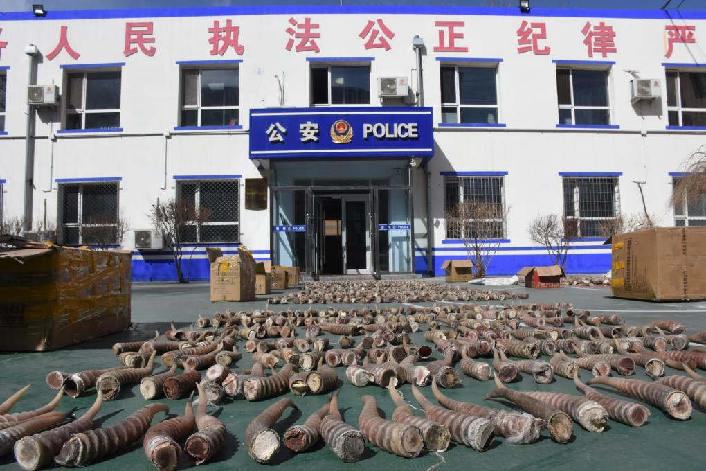 令人大饱眼福的山区幼幼被带到户外野河洗澡视