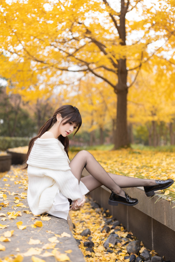 困困狗在线 随时准备为你提供帮助