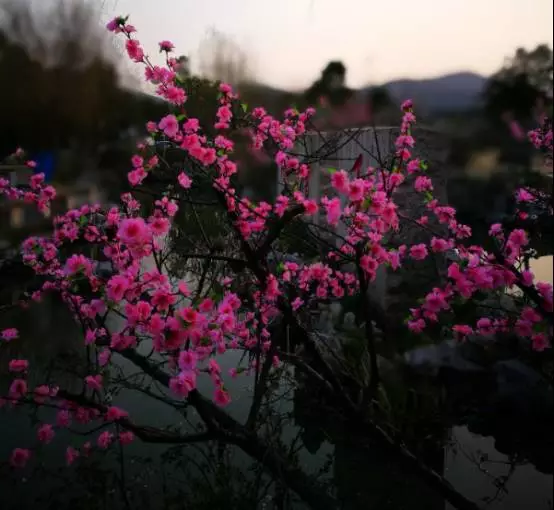 男同忘 或需要心理健康支持