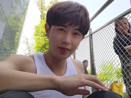 法国啄木鸟剧情系列 经典片头“啄木鸟”动画标志