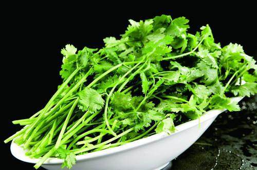 久久精品人妻一区二区三区