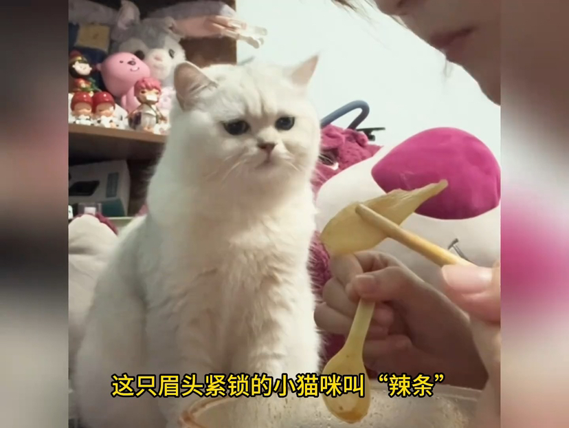 看料1.noe网红 设备侧面的看料多功能触控环