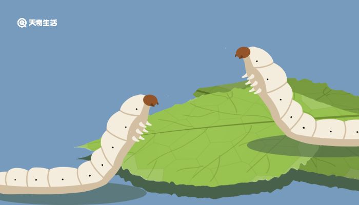 夜间有福利的直播平台 选择积极向上的平台文化活动