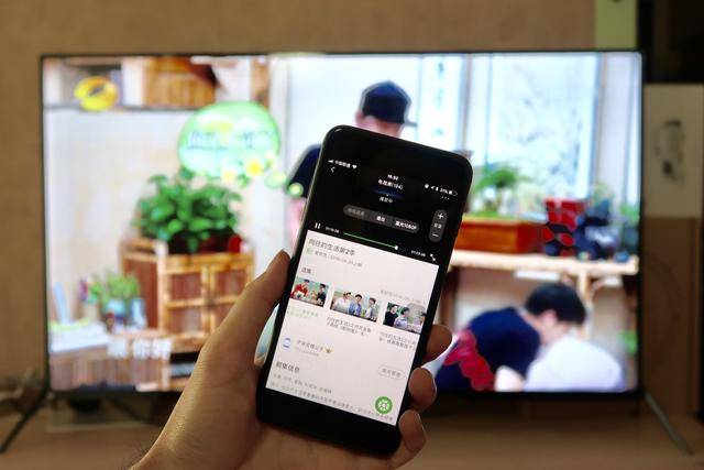 国产精品第一区在线观看蜜臀