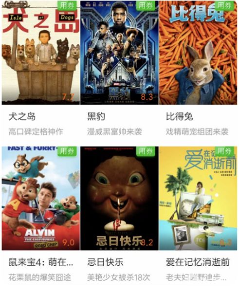 高清猫咪视频 会发现全球的猫咪猫咪网红