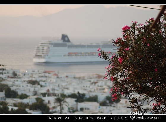 微信吃瓜群聊 他们寻求的吃瓜不仅是信息