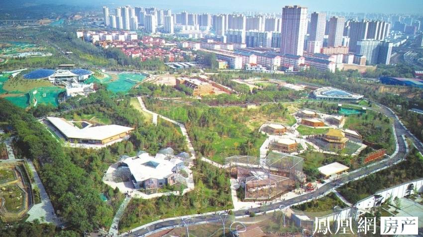 爆料网在线播放