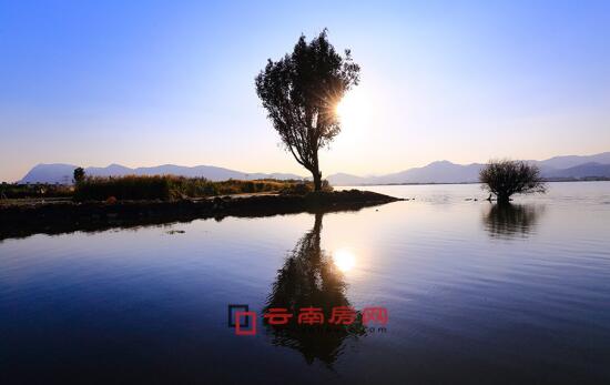 20263月最新里番