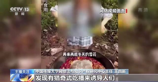 天天动漫肉番 