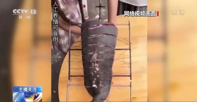 未成年开车被交警抓到怎么办