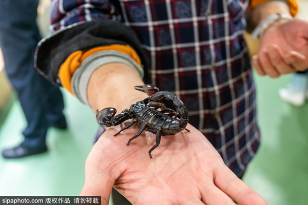 在线观看昆廷夫夫