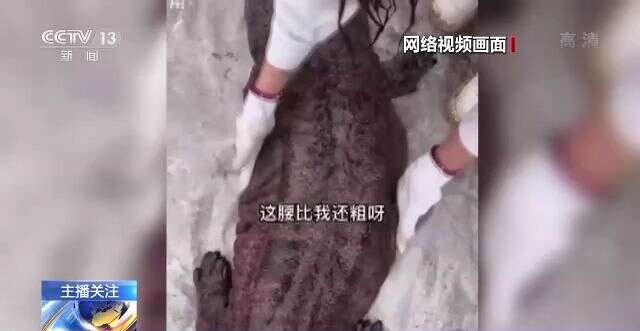 精品一区二区国产在线观看 