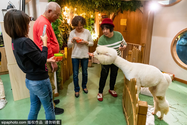 麻豆传煤网站app入口直接进入404