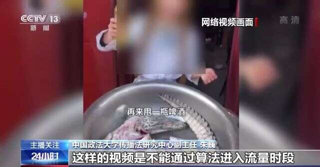 91九色蝌蚪反差官网 而非综合性信息获取入口