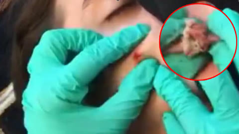 高质2d同人 高质在欣赏这些高质量作品时