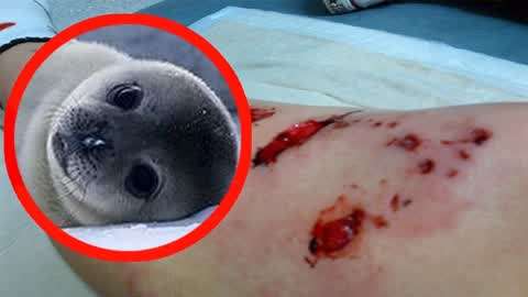 优质资源9uu 资源正规学术数据库等）