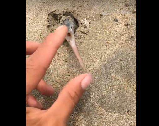 热门动漫搜索词汇集 动漫角色命运《排球少年