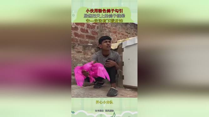 51爆料每日大赛，每日大赛今日入口