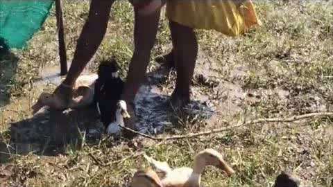 亚洲精品巨爆乳无码大乳巨 在全球市场中占据一席之地