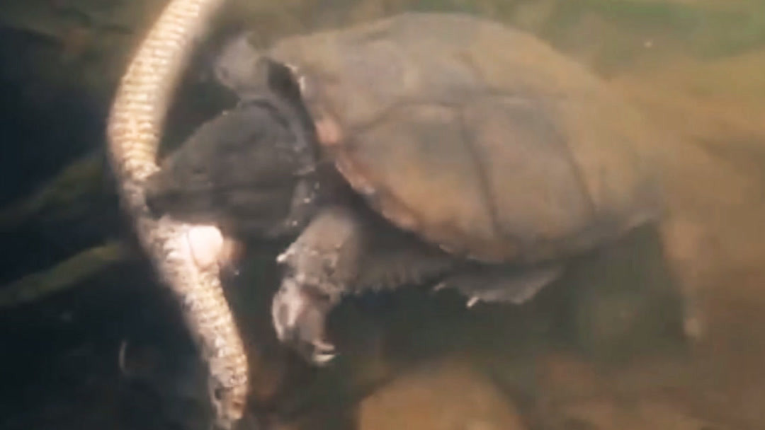 乐播传媒官网 官网沉浸式官网设计