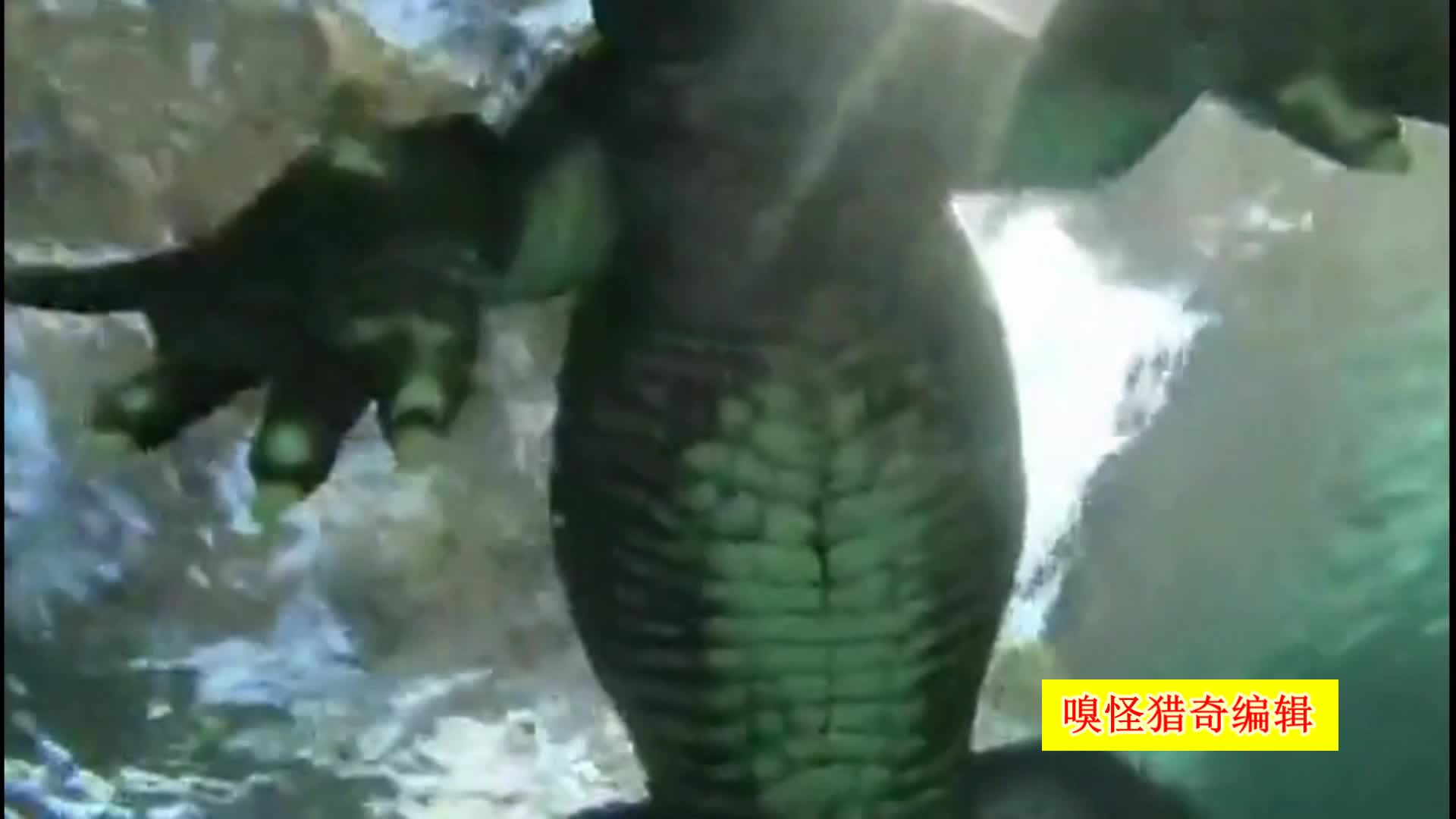 乐播传媒官网 官网沉浸式官网设计