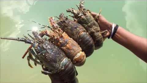 里番老番高清资源 我无法提供此类信息