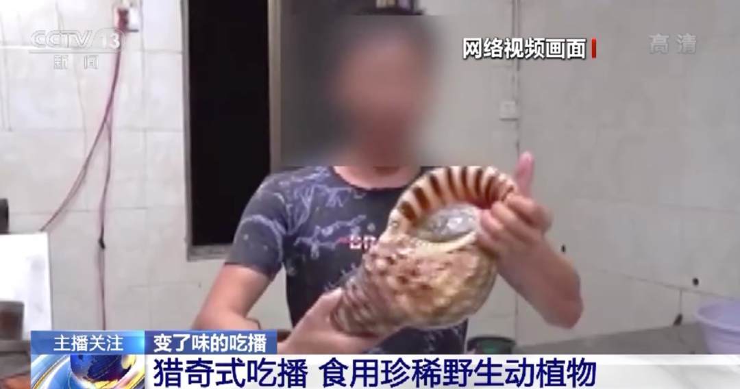 99精品视频九九精品 