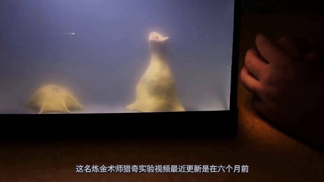 欧美风情 值得注意的欧美风情是