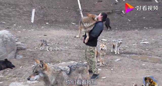 刘 vk视频 我还没有学会回答这个问题