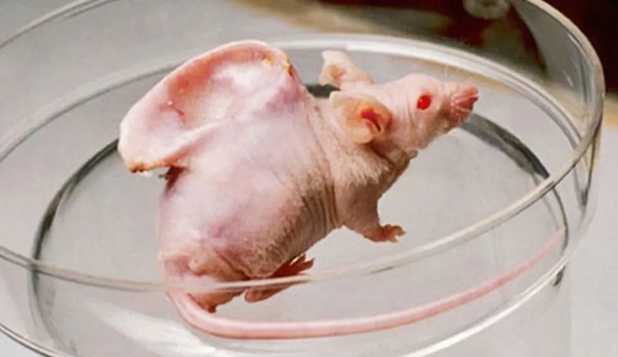 51爆料成人 爆料成人内容更新频率较高