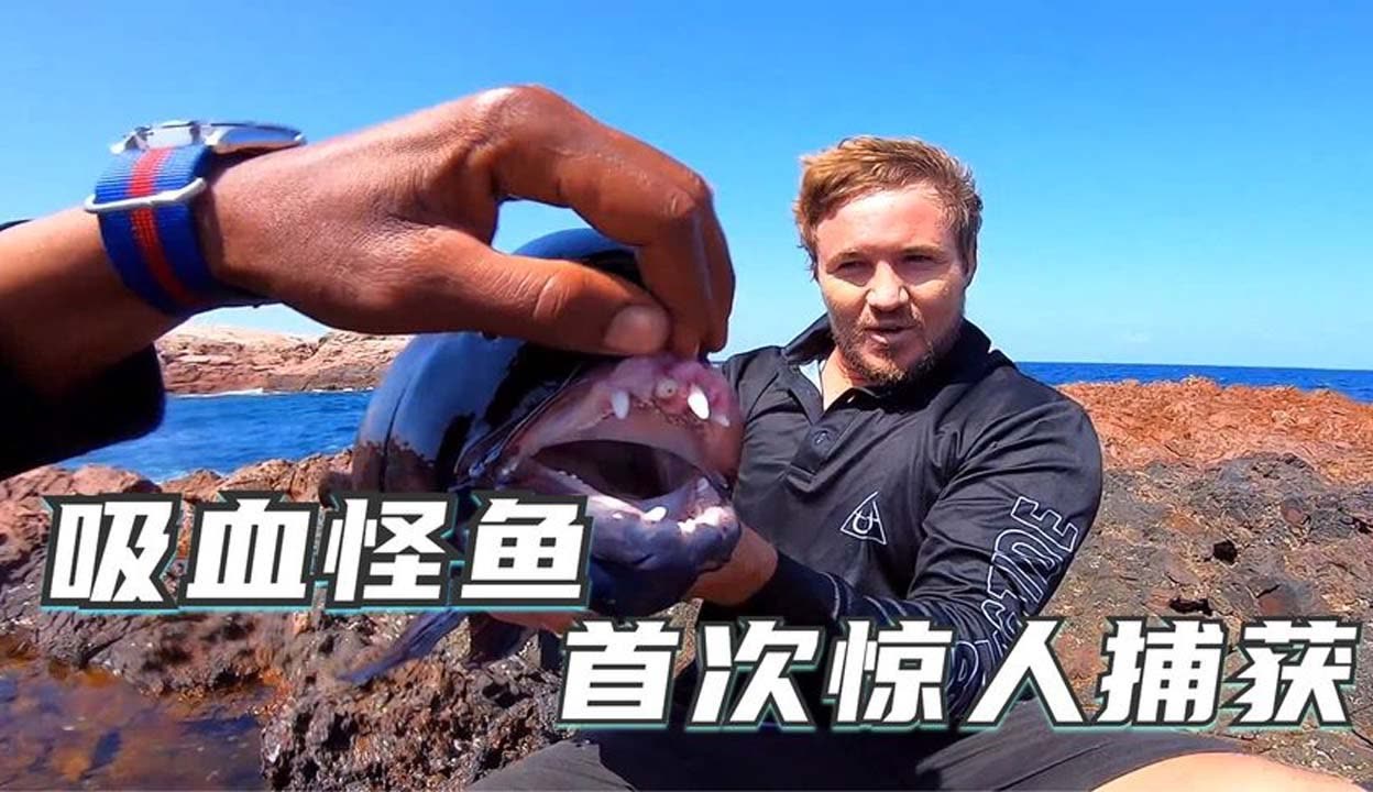 亚洲精品天天影视综合网