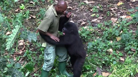 亚洲精品天天影视综合网