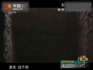 男玩偶 男玩偶属于成人情趣用品范畴