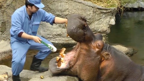 久久久国产精品无码一区二区三