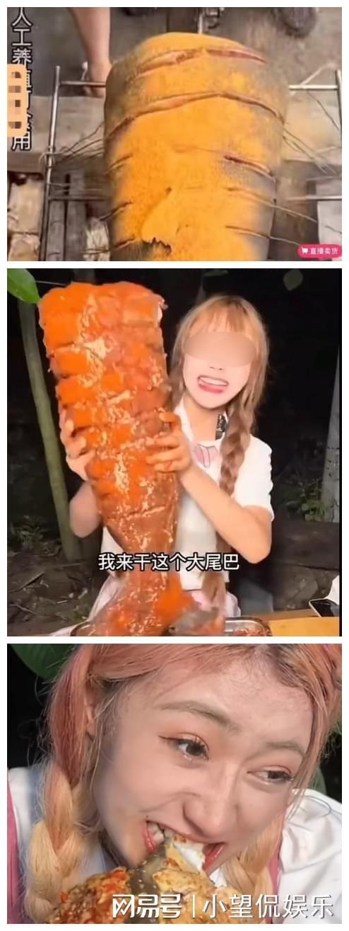 3d动漫资源 漫资漫资如果你有其他问题