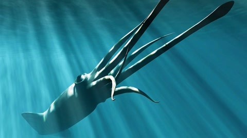 v 2 ba +空 间 在 线 播 放 请优先考虑安全和正版渠道