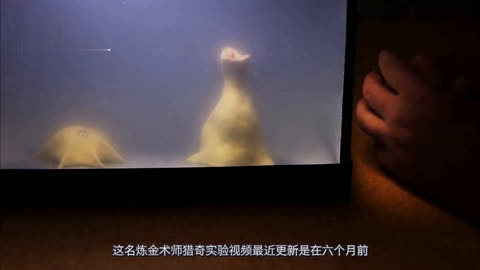 日本免费精品一区二区三区