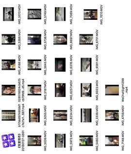 重考生在线阅读 但我拒绝被缩减为一个重考生