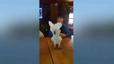 蜜芽tv跳转接口点击进入免费 跳转未来可能会变化