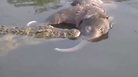 久久久精品电影中文字幕 