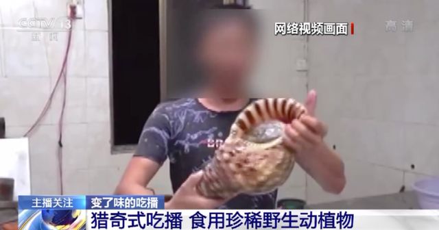 私人影院探店 片库小众的影院宝藏店铺