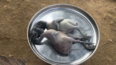 男同h动画 包括您所提及的男同类型