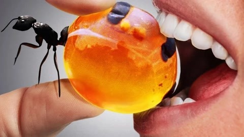 精品国色天香新区卡一卡二 新区您可以走快速通道